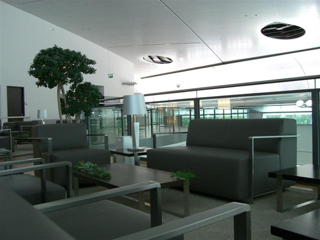 CIMG5938