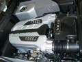 CIMG1750